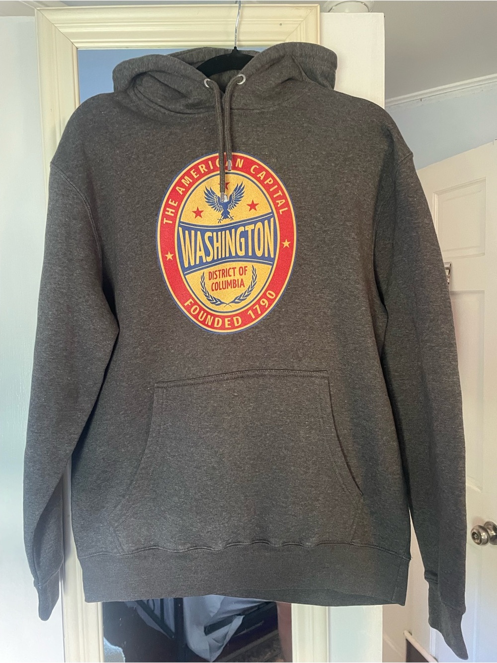 Gray Washington Graphic Hooded Sweatshirt
